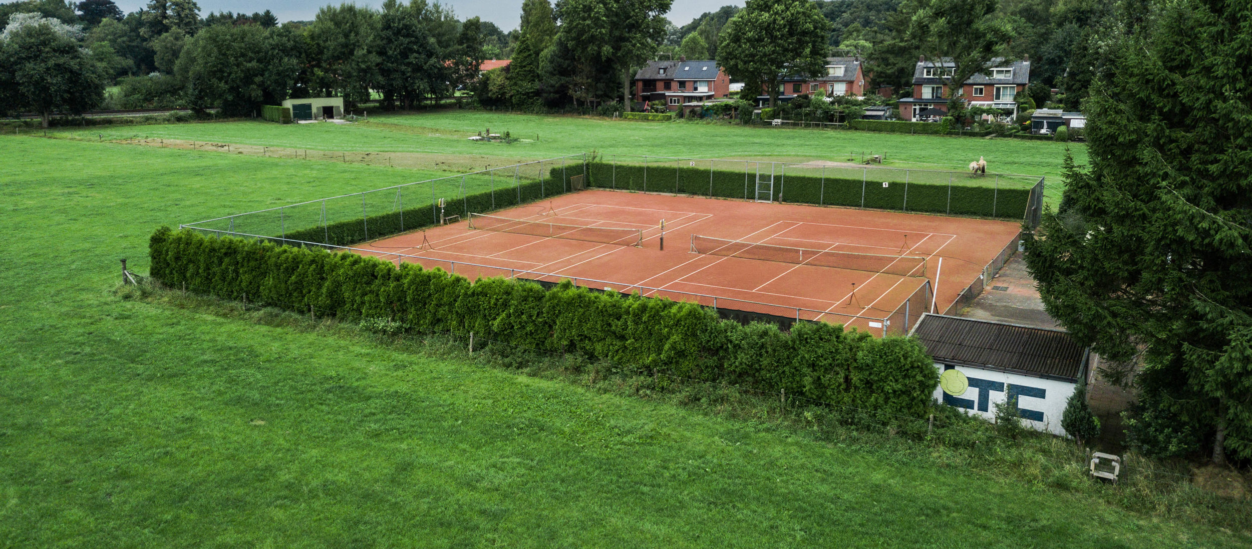 Kleine vereniging groen weiland