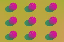 Shutterstock 1245679846
