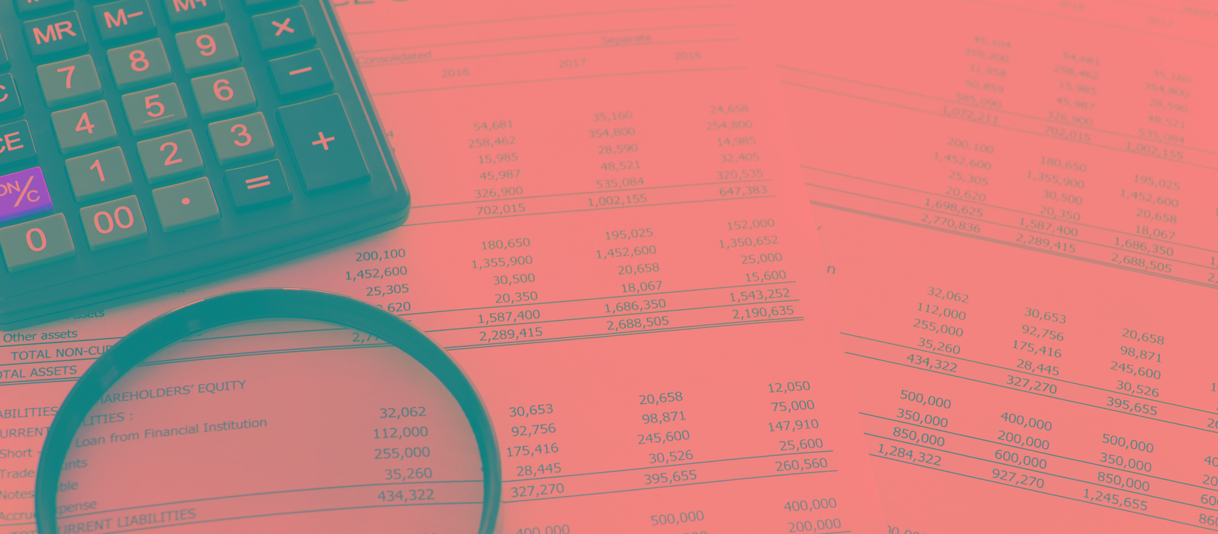 Jaarrekening vergrootglas financien